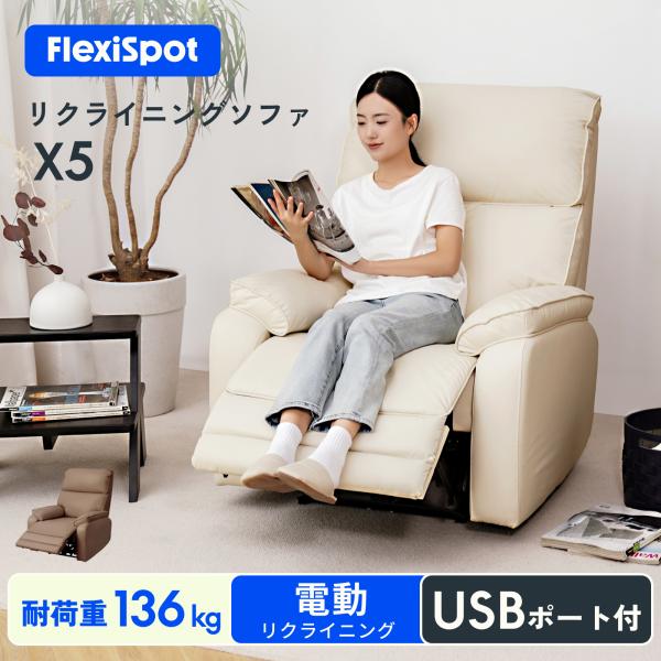 FlexiSpot リクライニングチェア 電動 USB付き 1人掛け リクライニング