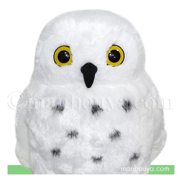 フクロウ グッズ ぬいぐるみ 白ふくろう 雑貨 キュート販売 CUTE