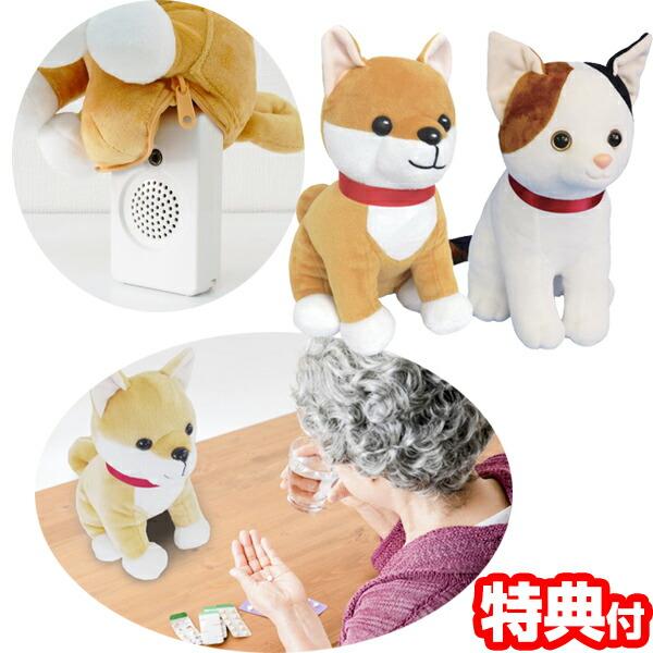 群馬電気 時間だよ！おしらせとうばん MC-U01 お知らせ当番 お薬