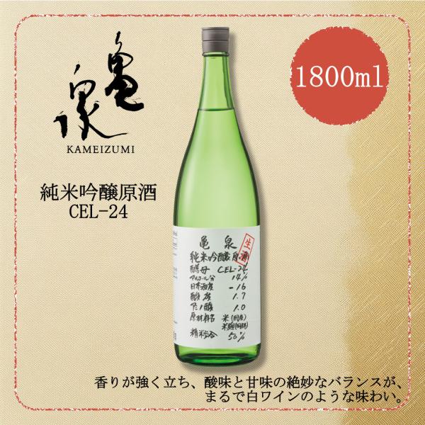 亀泉 純米吟醸生原酒 cel24 CEL-24 1800ml 1.8L 日本酒 地酒 入荷後