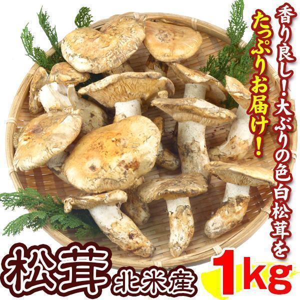 松茸 約1kg 北米産 冷蔵便 ご家庭用 送料無料 食品 : 食みらい・国華園