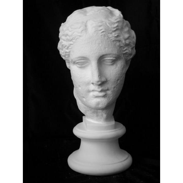 S−205 古代ヴィーナス首像（アバタのヴィーナス）（特） : 石膏像