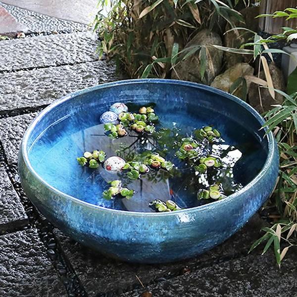 信楽焼 睡蓮鉢 メダカ鉢めだか鉢 陶器 水鉢 ビオトープ 金魚鉢 信楽焼