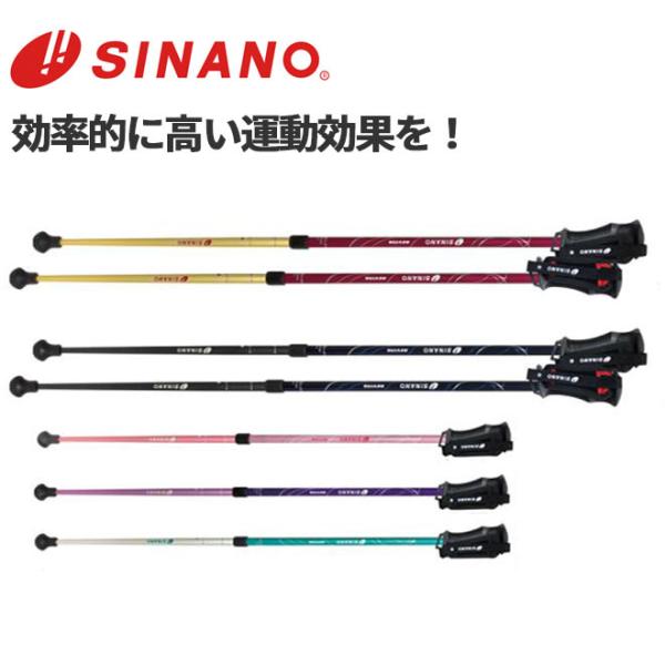 SINANO シナノ レビータ ネクスト 2本組 ノルディック ウォーク