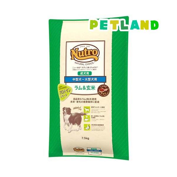 ニュートロ ナチュラルチョイス ラム玄米 中型犬〜大型犬用 成犬