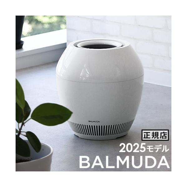 BALMUDAの加湿器「Rain」で冬を越してみた感想｜LIKED