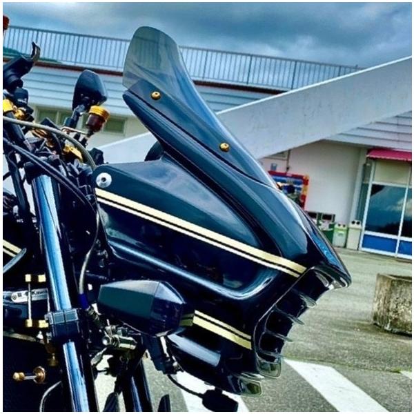 VERTIA ヴェルティア フロントワイドカール タイプ：FRP ZRX1100