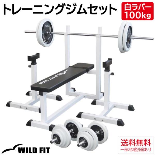WILD FIT（ワイルドフィット） トレーニングジムセット 白ラバー 100kg
