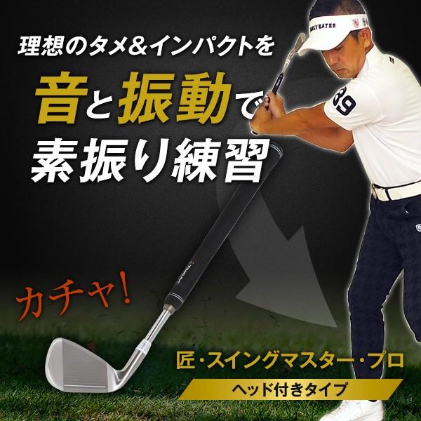 匠 スイングマスタープロ ヘッド付 スイング練習 自宅練習 飛距離