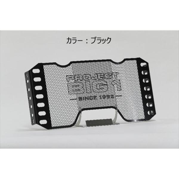 TSR TSR 0SS-ZP-S54F1BK0 ラジエターコアガード TYPE PROJECT BIG-1