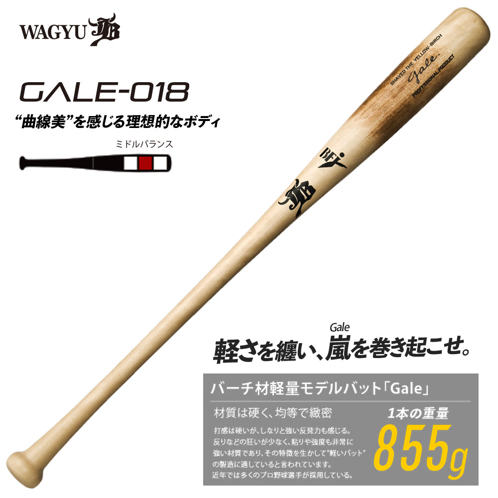 バーチ材硬式木製バット「ゲイル-Gale-」/BFJ対応 – ボールパーク