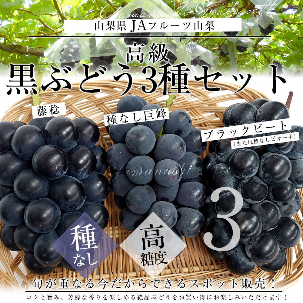 山梨県産 JAフルーツ山梨 黒ぶどう3種セット 約1.4キロ (ブラック