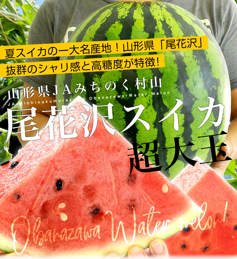 スイカ大サイズ！手作り額付き作品 title「へいお待ち！ニャンコ