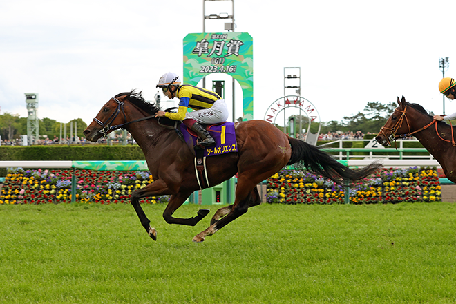 ソールオリエンスの競走馬登録抹消 JRA