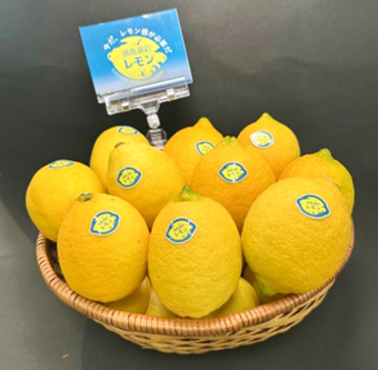 かなさんの畑｜かながわ産品・かながわブランド・地産地消の情報サイト