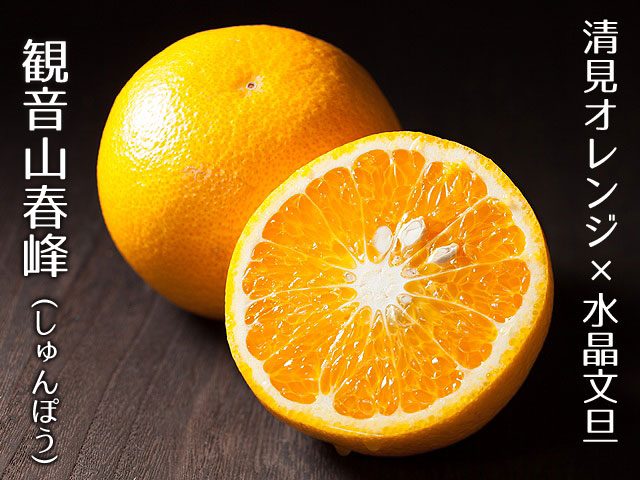 春峰 柑橘春峰の観音山フルーツガーデン