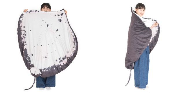 世界最大の淡水エイ「ヒマンチュラ・チャオプラヤ」の原寸大ぬいぐるみ