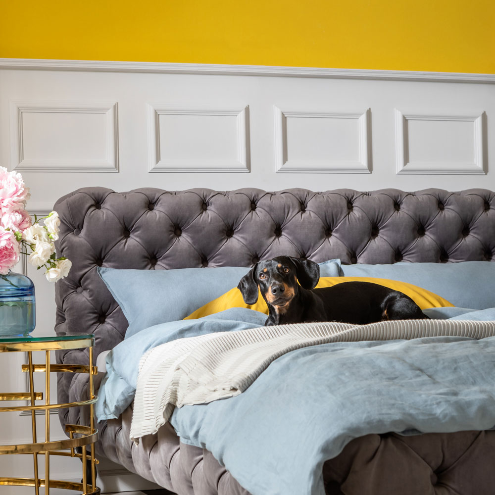 廃番】デザイア ベルベットシルバーグレイ ベッド 160x200cm