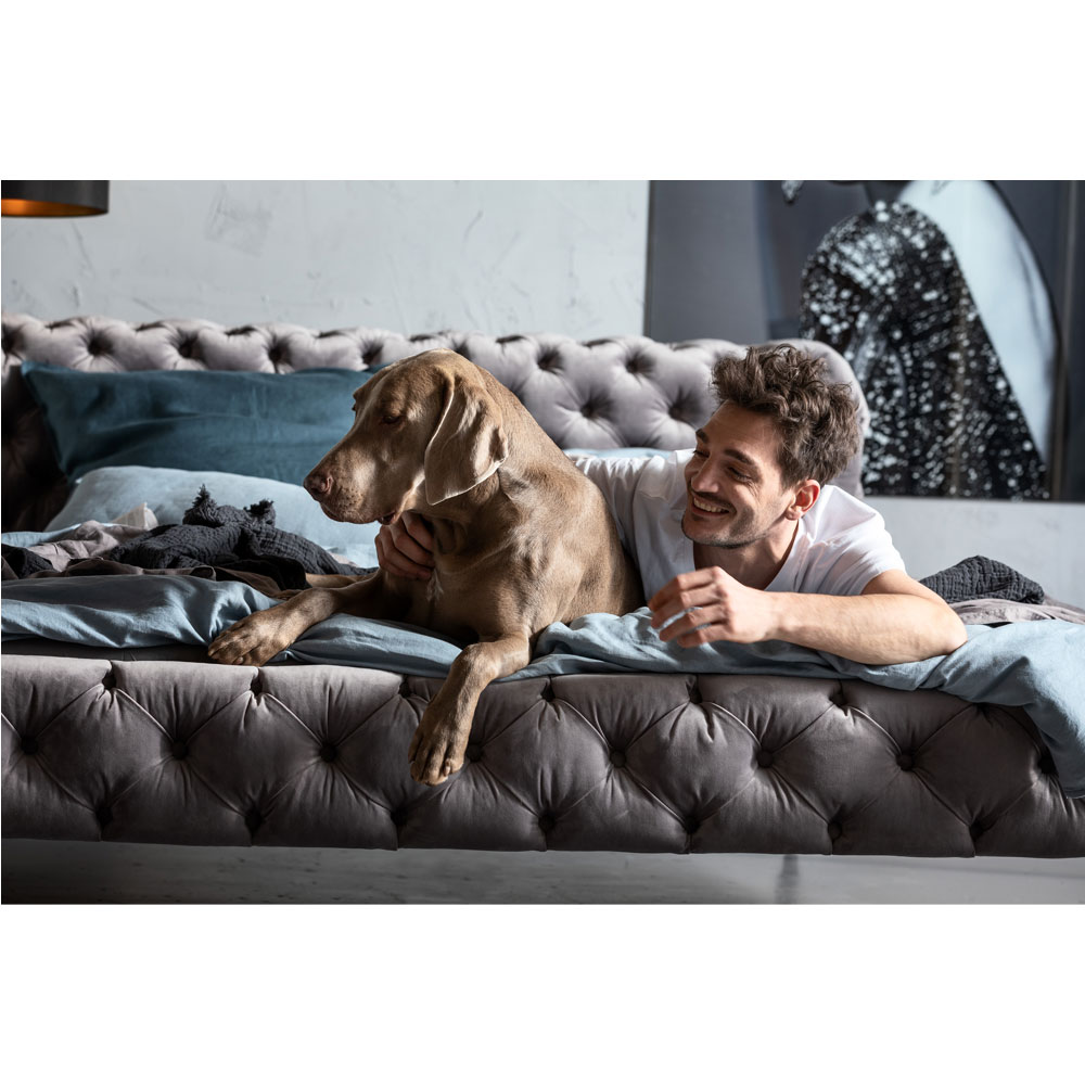 廃番】デザイア ベルベットシルバーグレイ ベッド 160x200cm