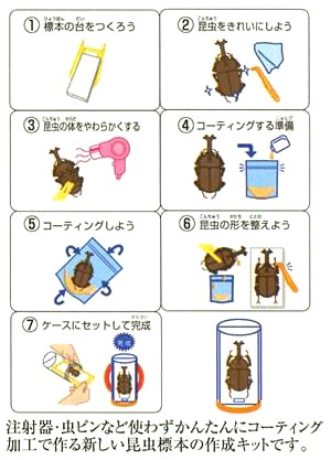 かんたん昆虫標本キット（標本LABO）販売-夏休みの自由研究に最適