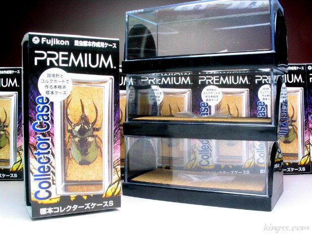 コレクターズ標本ケース 死んでしまったカブトムシやクワガタムシを