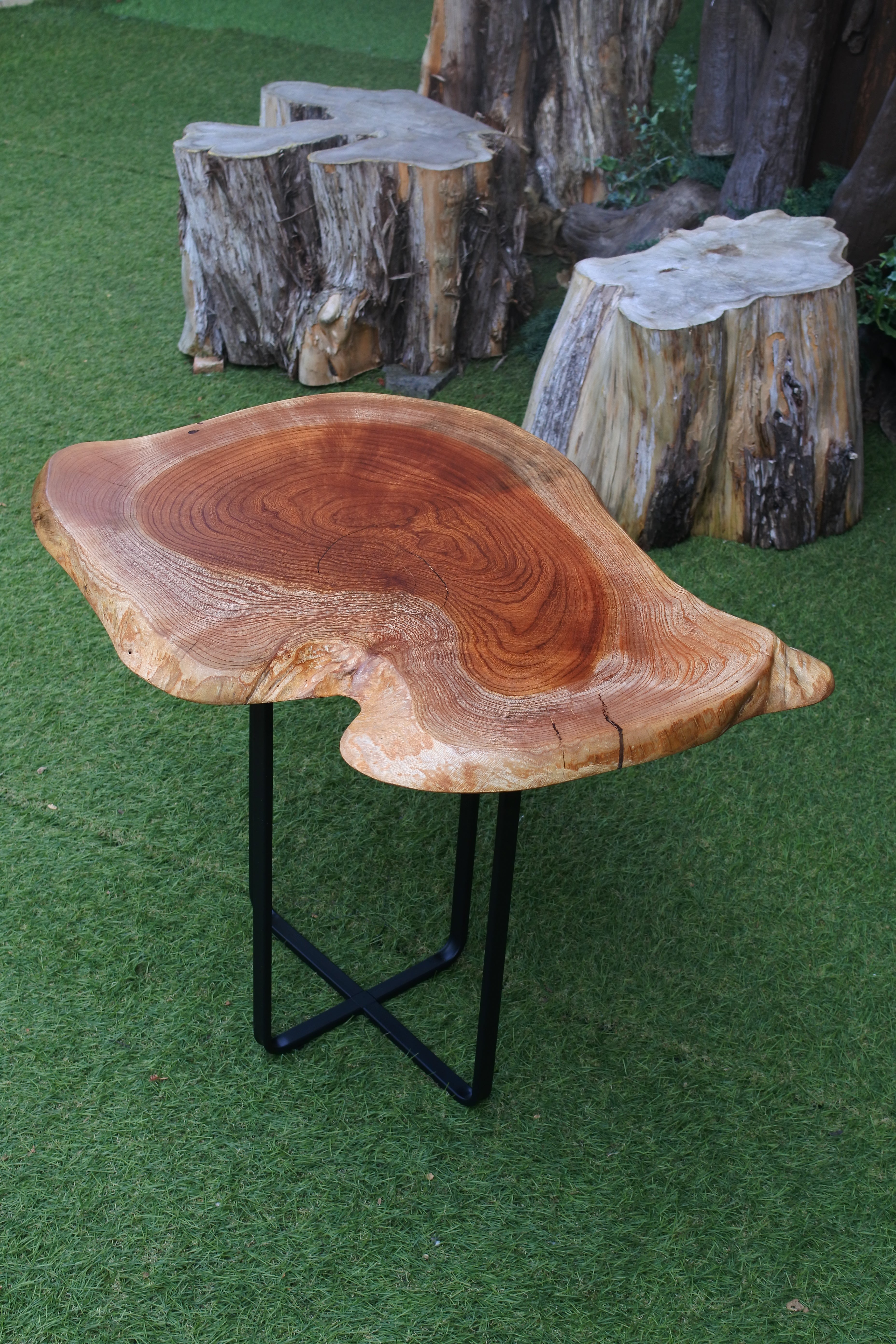 53．ケヤキ 輪切り｜ミニテーブル – 木の物語工房