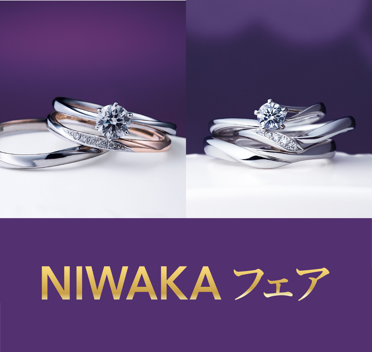 NIWAKAフェア開催中｜【公式】金正堂本店