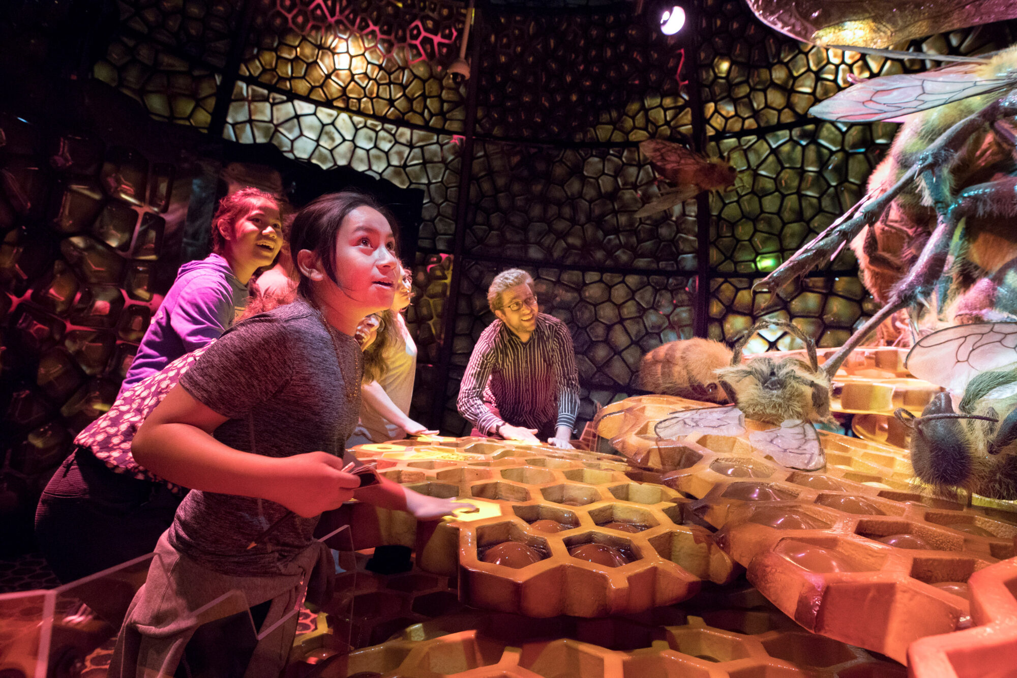 New exhibit turns bugs into larger than life models! Here's where