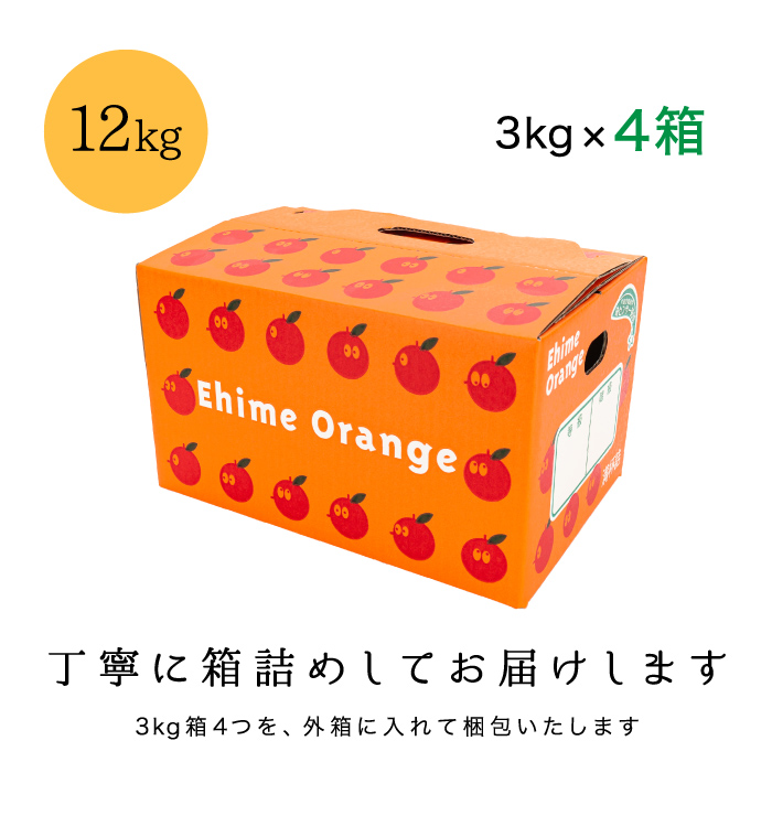 濃厚な甘みが特徴の愛媛西宇和産せとかを産地直送【お試し用12kg】