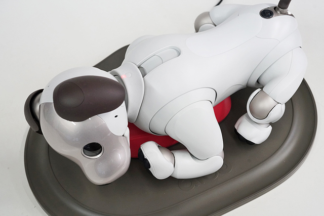 ついにやってきた”aibo”、箱からとりだして寝床を設置して初期設定が