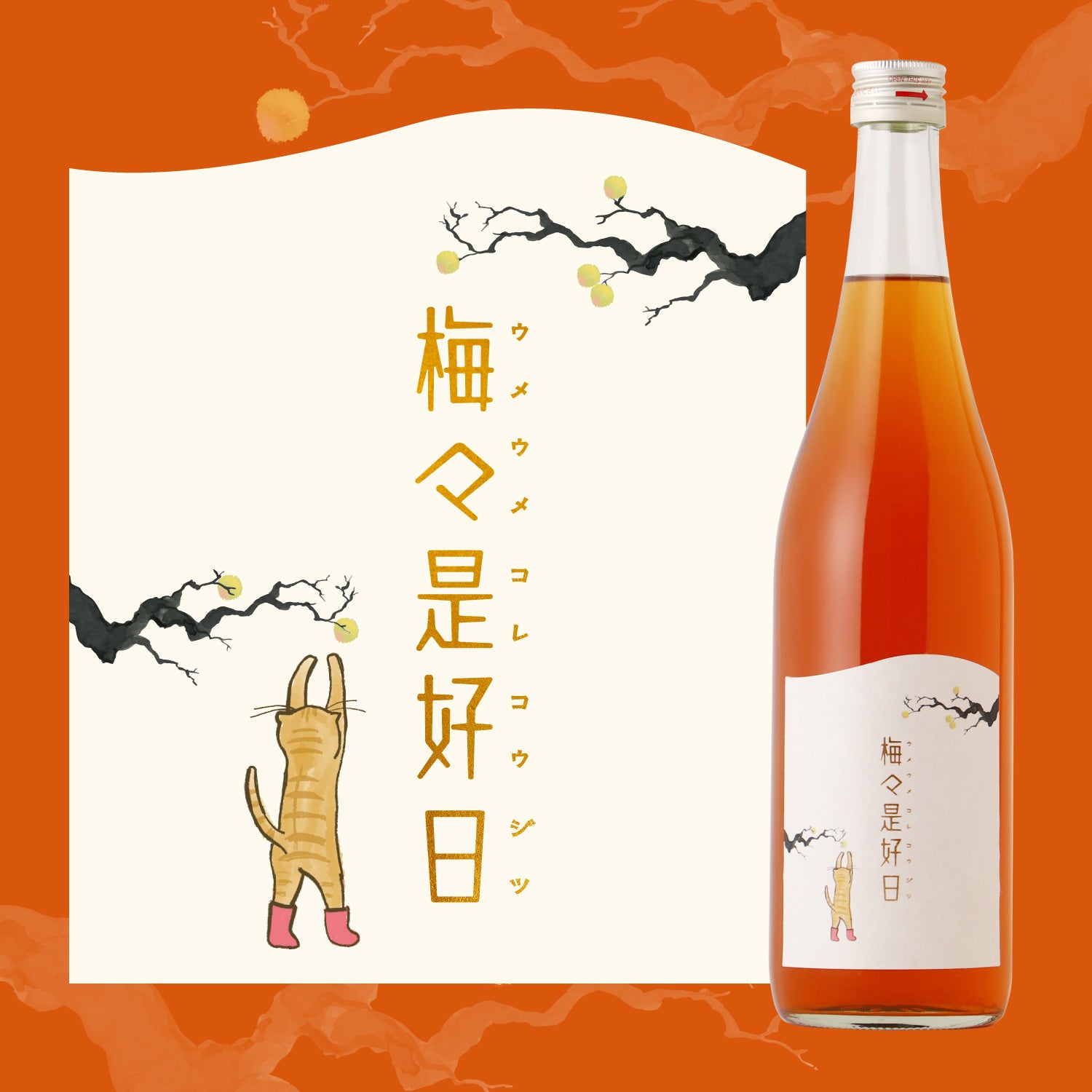 予算3,000円の梅酒】おしゃれな梅酒をプレゼントに | クラフト酒