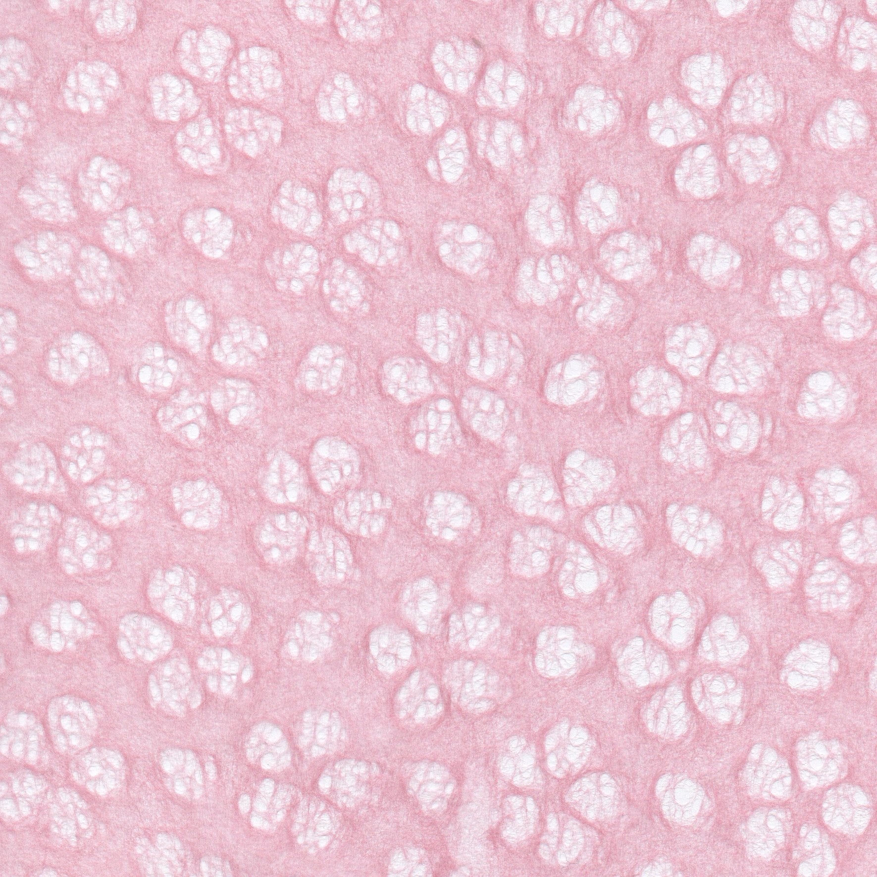 1761.jpg?v=1710822562&width=1920