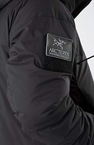 Amazon.co.jp: Arc'teryx alpine academy ワッペン パッチ