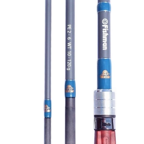 Amazon | フィッシュマン シーバスロッド ブリスト コモド 7.5H