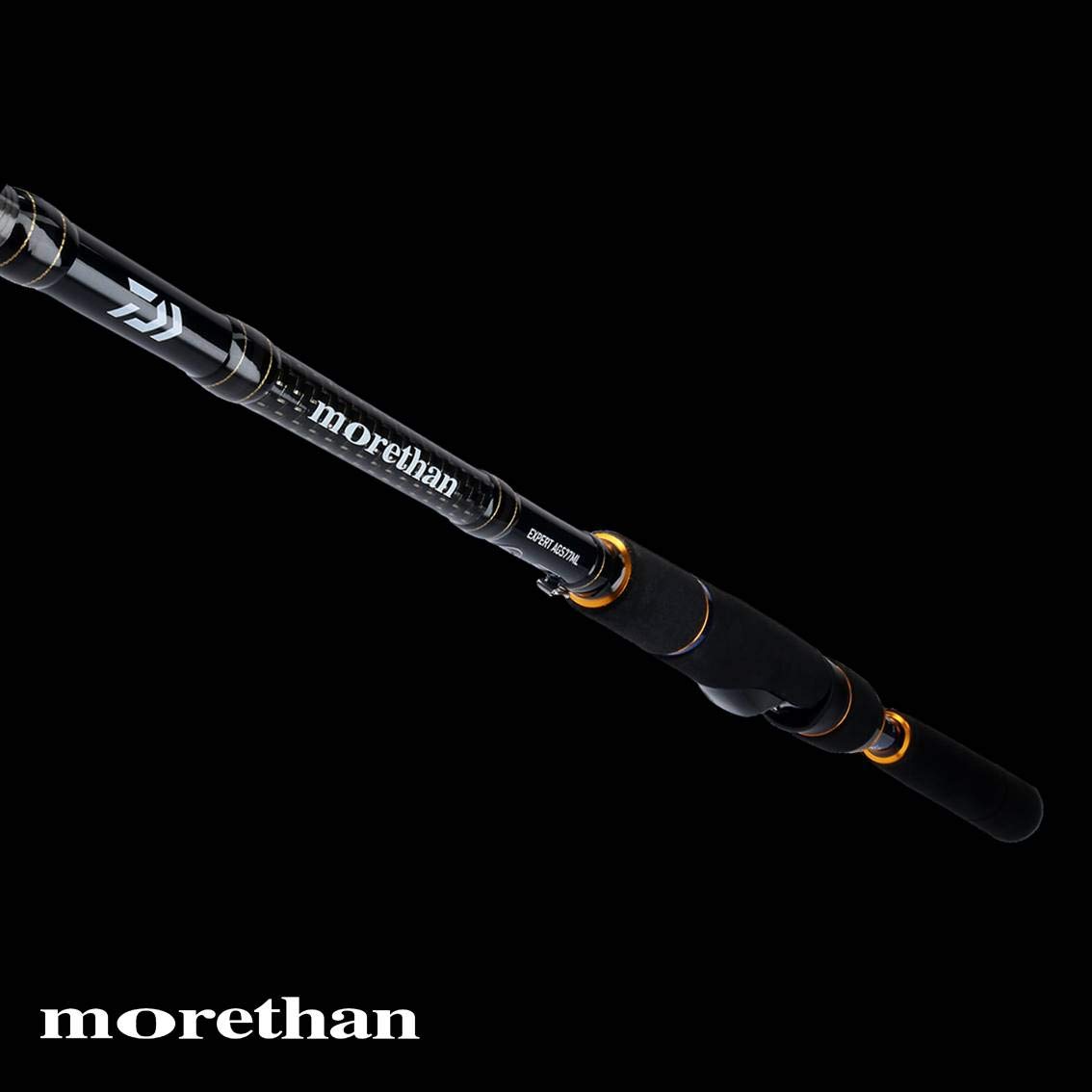 Amazon | ダイワ(DAIWA) シーバスロッド モアザン エキスパート AGS