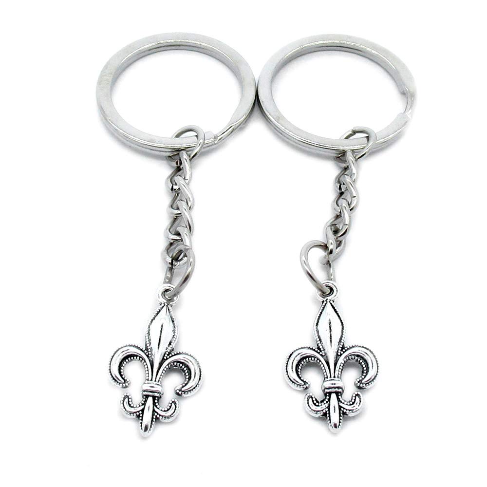 Amazon.co.jp: アンティーク シルバー キーリング キーチェーン