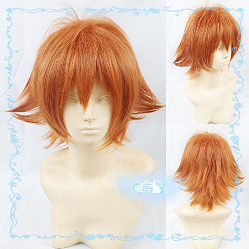 Amazon.co.jp: 耐熱コスプレウィッグ ズートピア Zootopia ニック