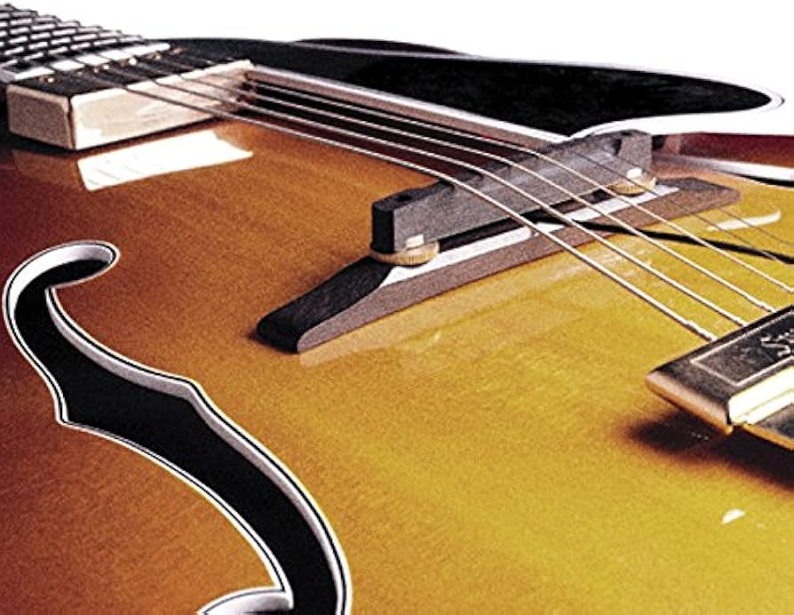Amazon.co.jp: FISHMAN Electric /Acoustic Archtop Guitar Pickup