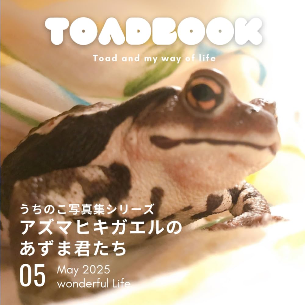うちのこ写真集 アズマヒキガエルのあずま君たち: うちのこ写真集