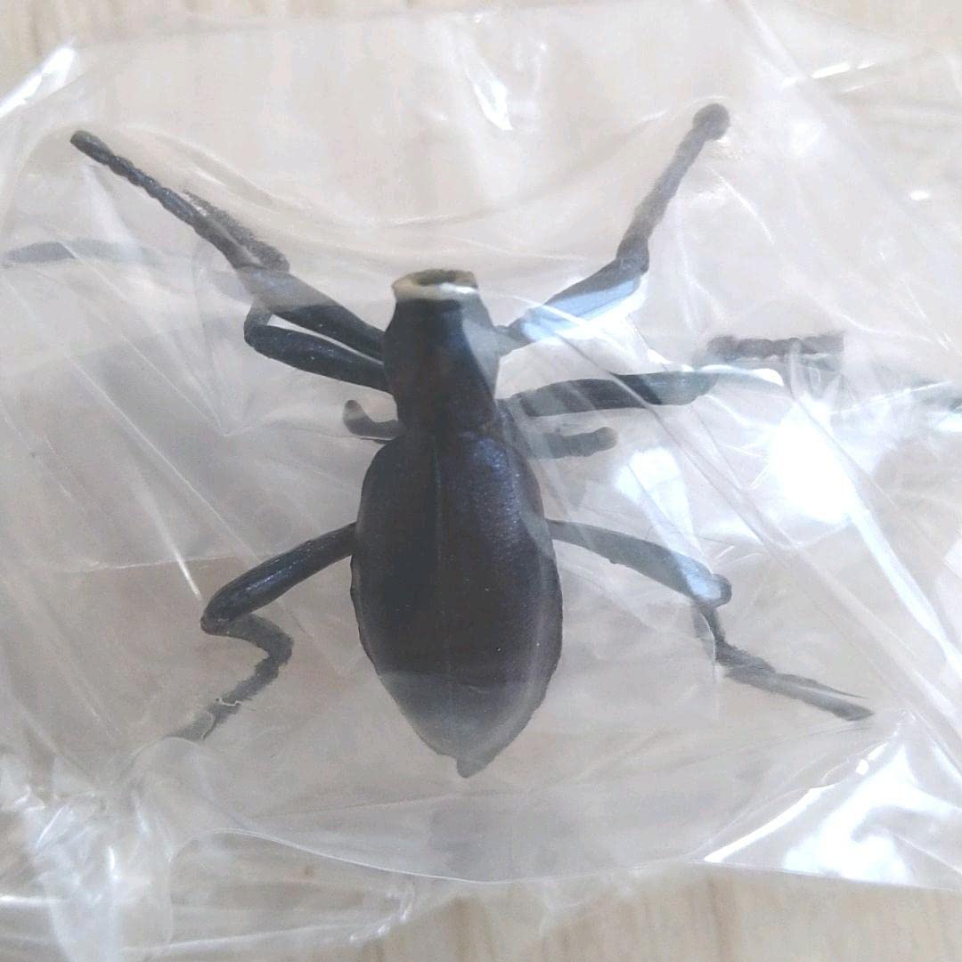 Amazon.co.jp: ユージン 原色日本昆虫図鑑 Ⅰ シークレット