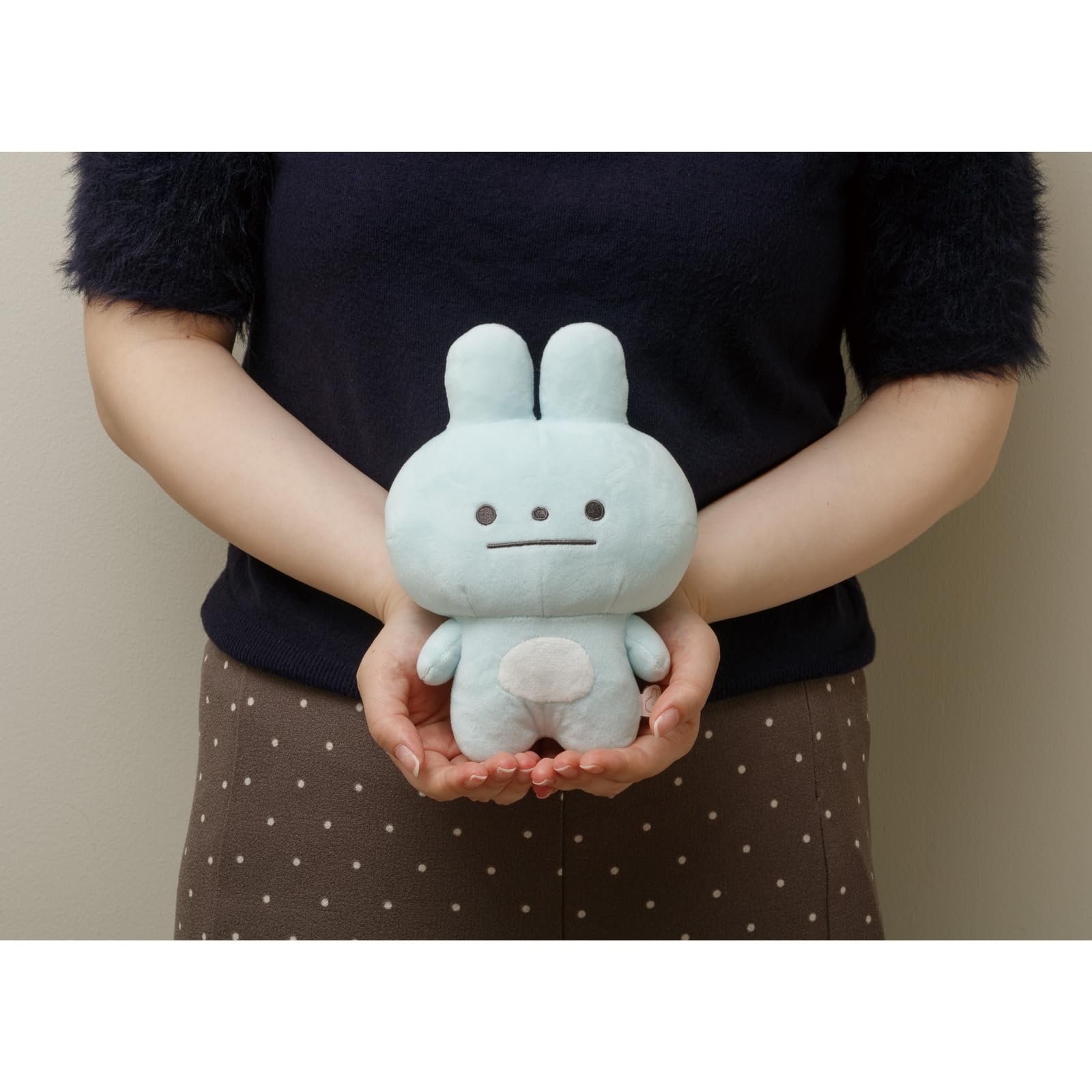 Amazon.co.jp: サンエックス ぽかんとたんぬいぐるみ ぽかんとたん