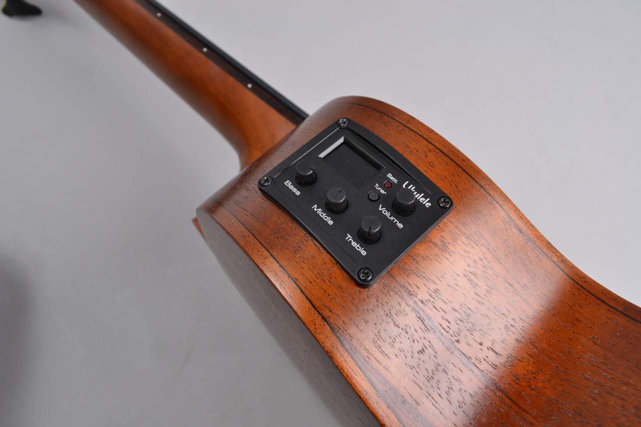 Amazon.co.jp: ARIA ウクレレベース AUB-CE/FL : 楽器・音響機器