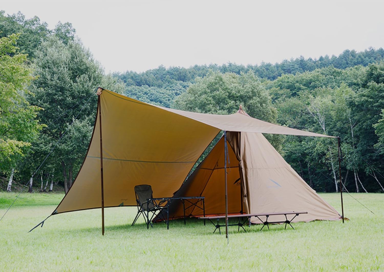 Amazon | テンマクデザイン サーカスST コネクトヘキサ (ピグメント