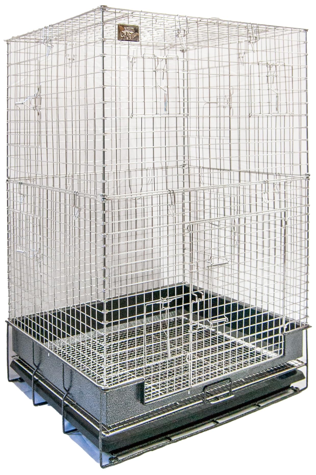 Amazon | 川井 コンフォート チンチラスペシャル STグレード チンチラ