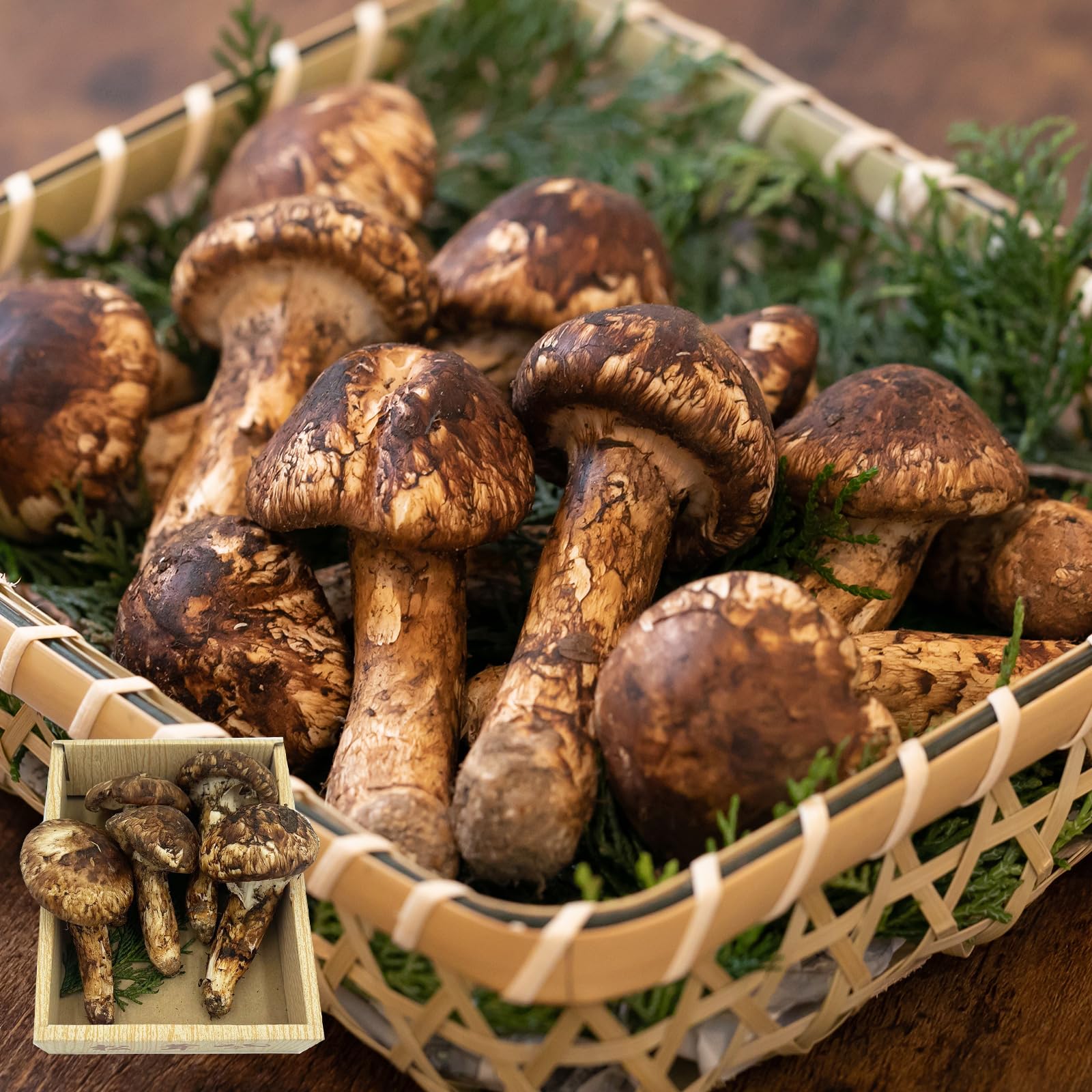 Amazon.co.jp: 松茸 国産 訳あり 家庭用 200g 国産(長野県 他