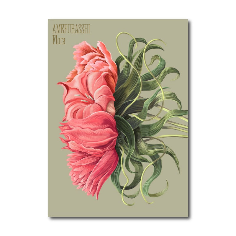 4th Album『Flora』豪華盤｜AMEFURASSHI｜MAILIVIS(メイリビス)