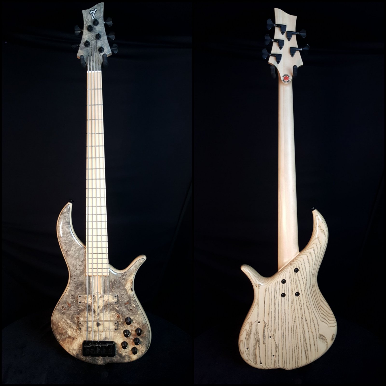 F Bass BN5 Buckeye Top, 5 String Bass with Bag - 621217