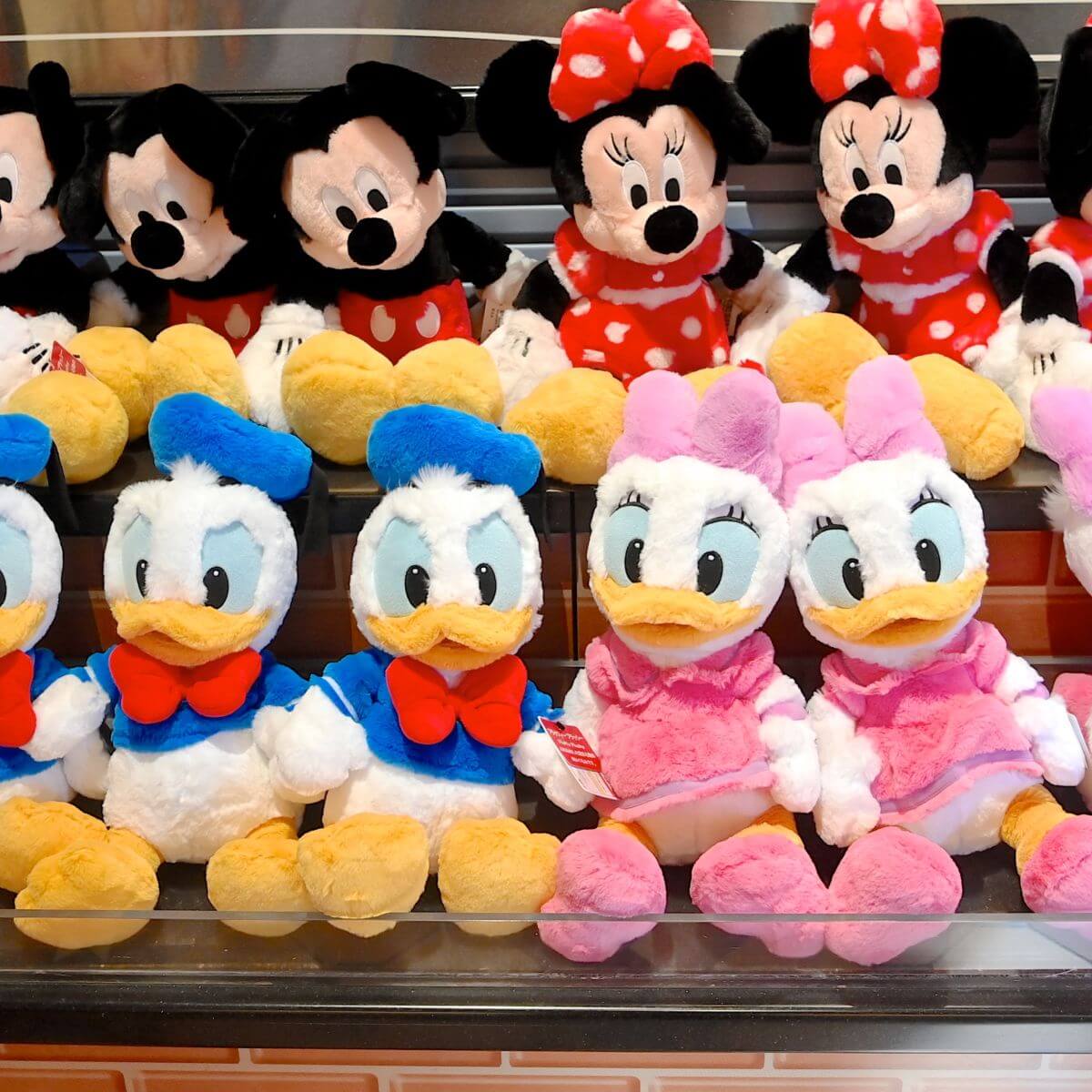 ドナルドダック&デイジーダックのふわふわぬいぐるみ！東京