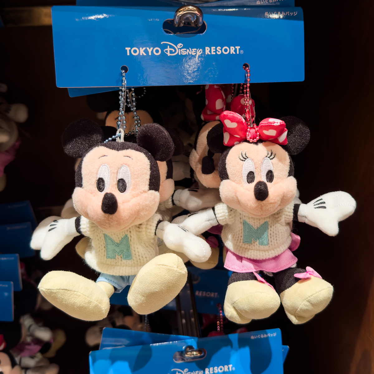 ギンガムチェックやハート柄がかわいい！東京ディズニーランド