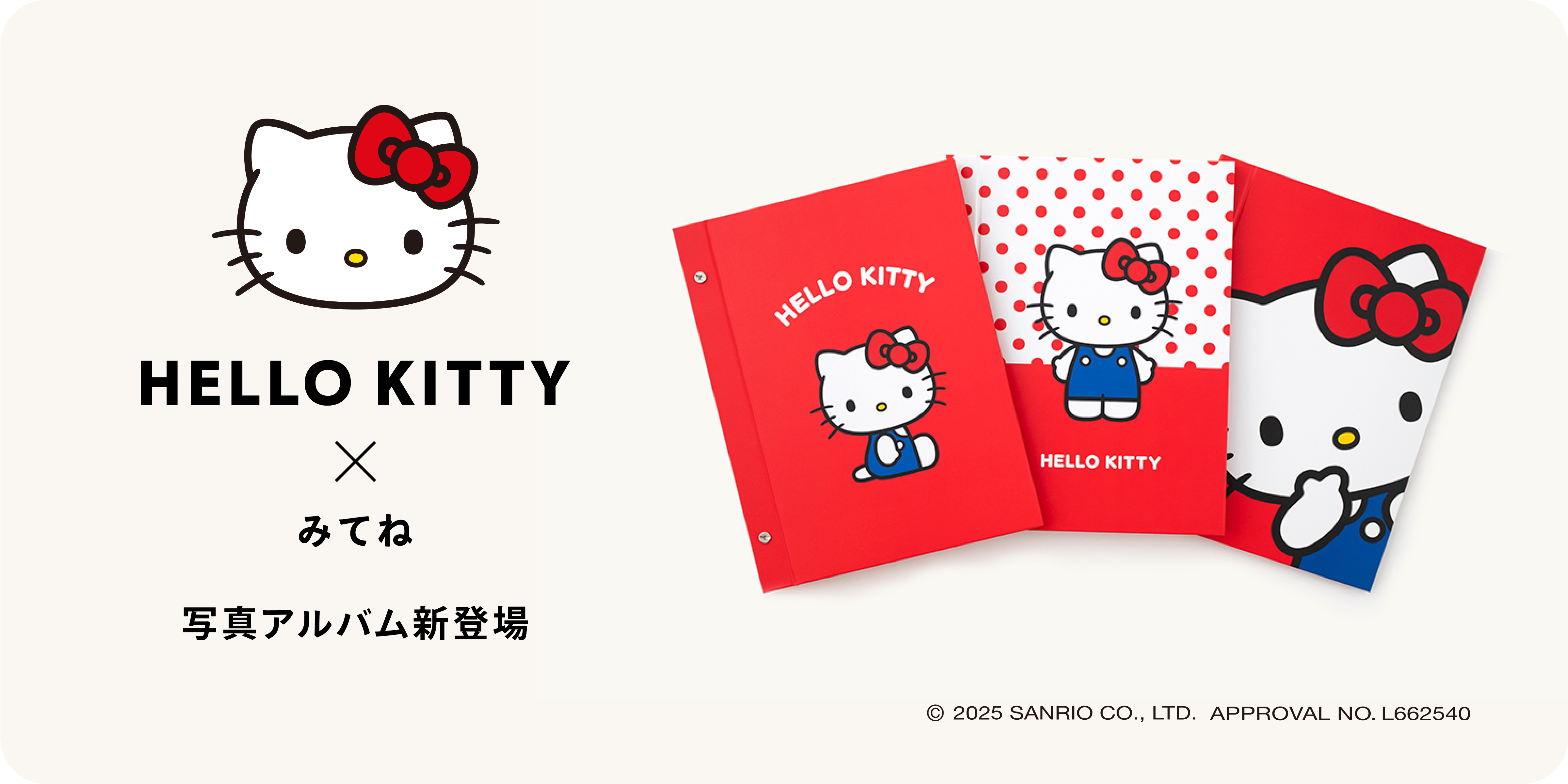 ミク高校入試 超効率 中学社会100+資料30 赤シート付ご当地キティ ミク